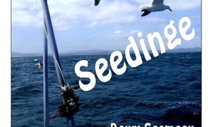 Makriel vang kort ook vernuf